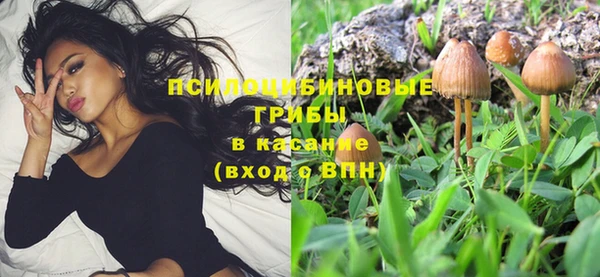 прущая мука Пестово