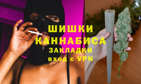трава Пересвет