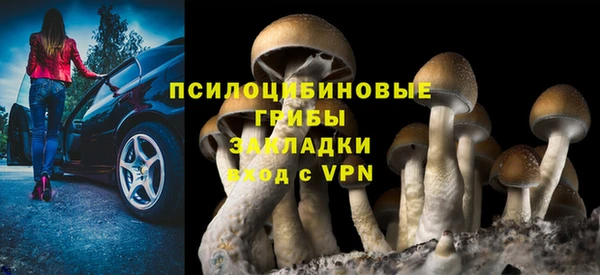 прущий лед Алексин